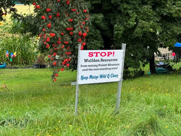 stop